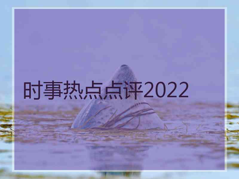 时事热点点评2022