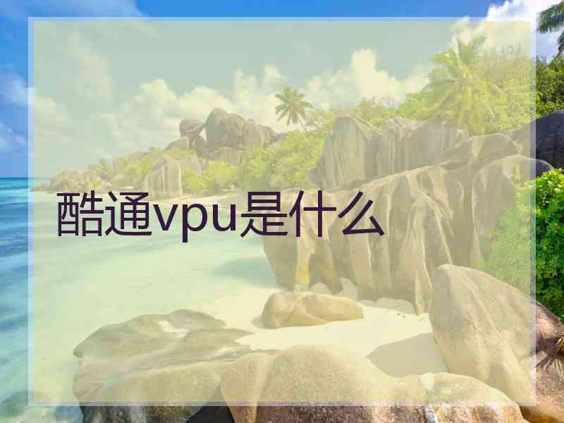 酷通vpu是什么