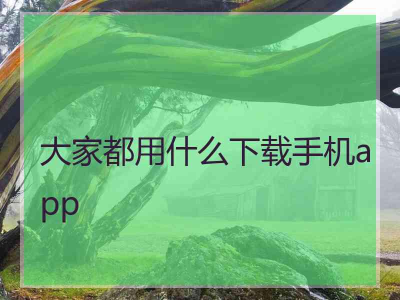 大家都用什么下载手机app