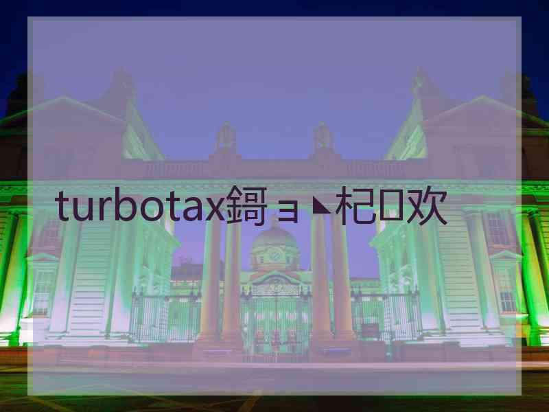 turbotax鎶ョ◣杞欢