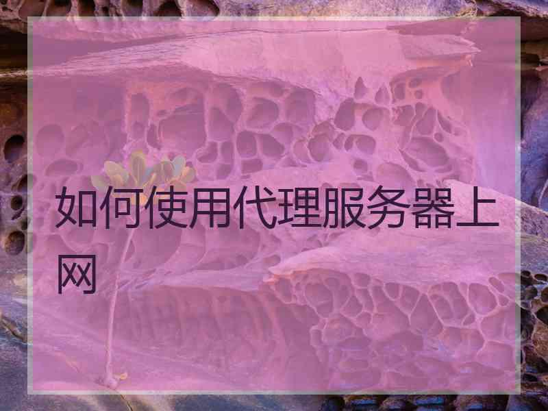 如何使用代理服务器上网