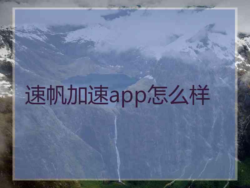 速帆加速app怎么样