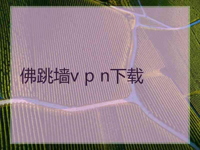 佛跳墙v p n下载