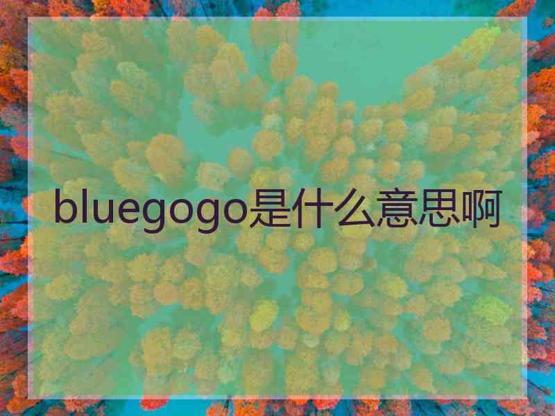 bluegogo是什么意思啊