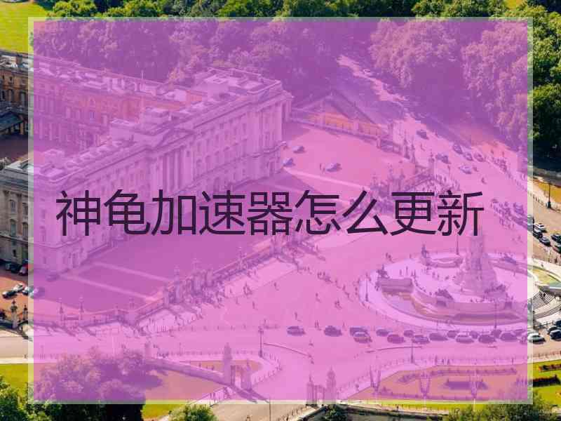 神龟加速器怎么更新