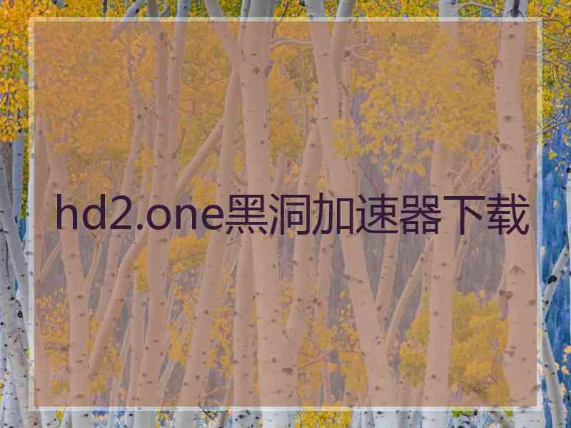 hd2.one黑洞加速器下载