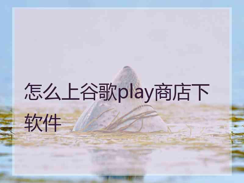 怎么上谷歌play商店下软件