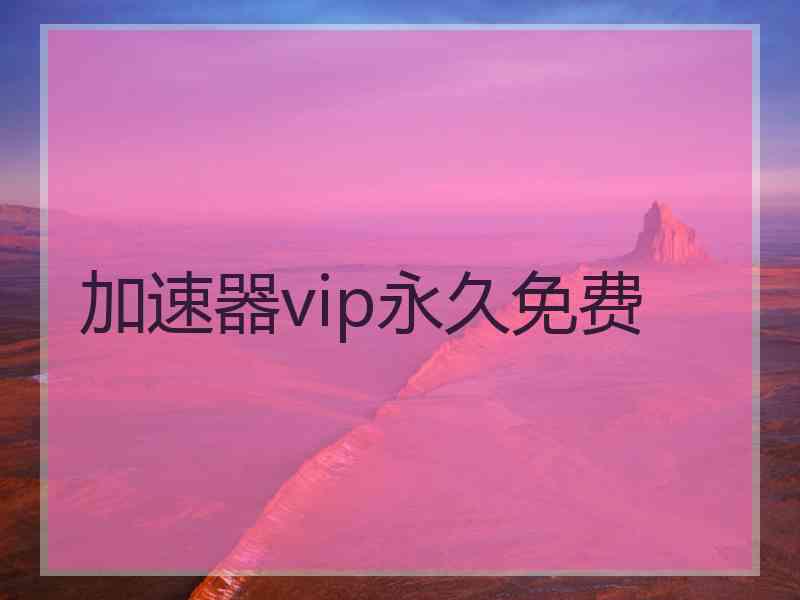 加速器vip永久免费