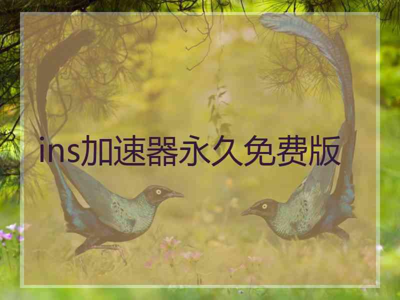 ins加速器永久免费版