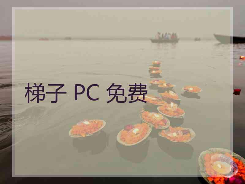 梯子 PC 免费