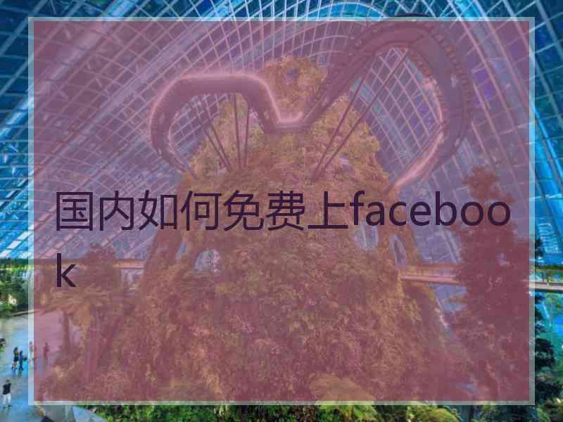 国内如何免费上facebook