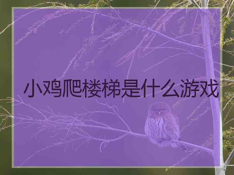 小鸡爬楼梯是什么游戏