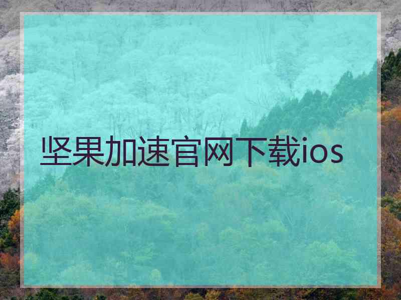 坚果加速官网下载ios