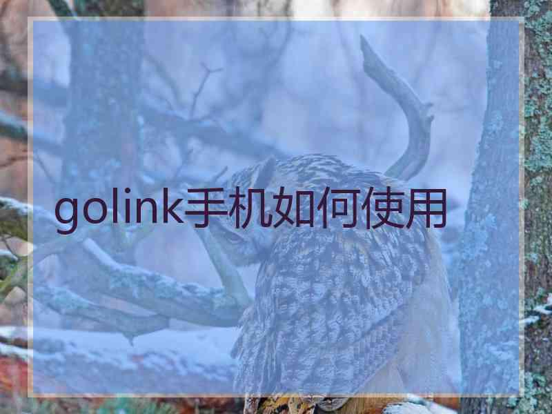 golink手机如何使用