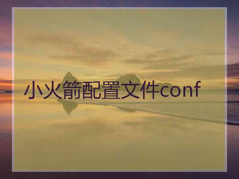 小火箭配置文件conf