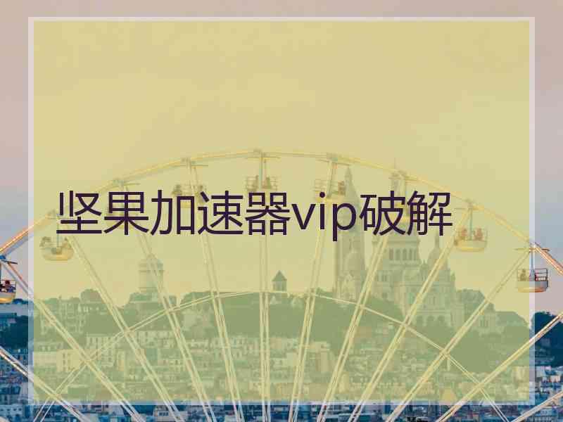 坚果加速器vip破解