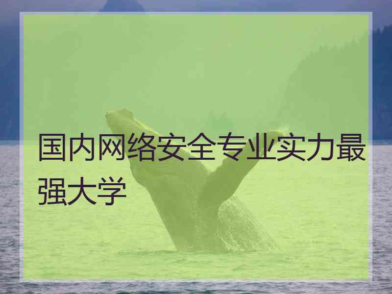 国内网络安全专业实力最强大学