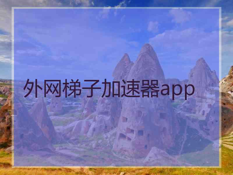 外网梯子加速器app