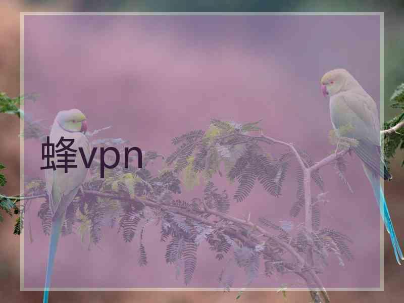 蜂vpn