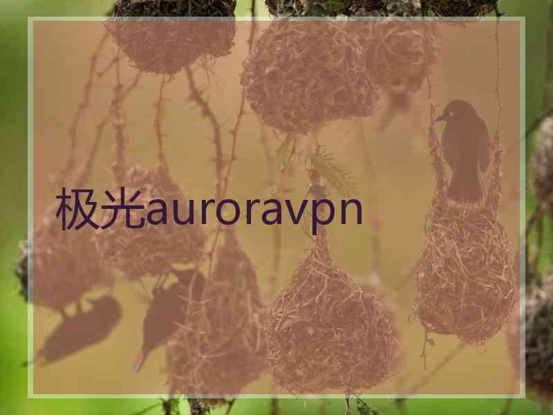 极光auroravpn