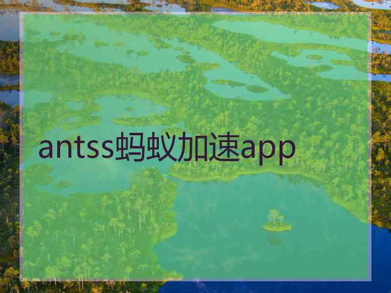 antss蚂蚁加速app