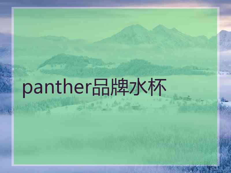 panther品牌水杯