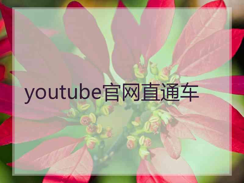 youtube官网直通车