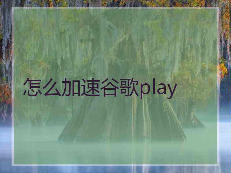 怎么加速谷歌play