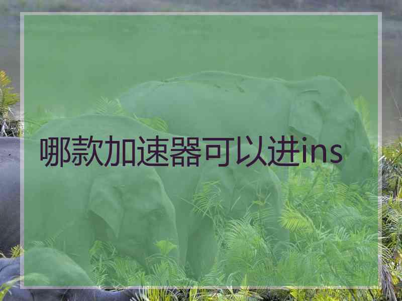 哪款加速器可以进ins