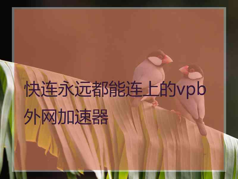 快连永远都能连上的vpb外网加速器