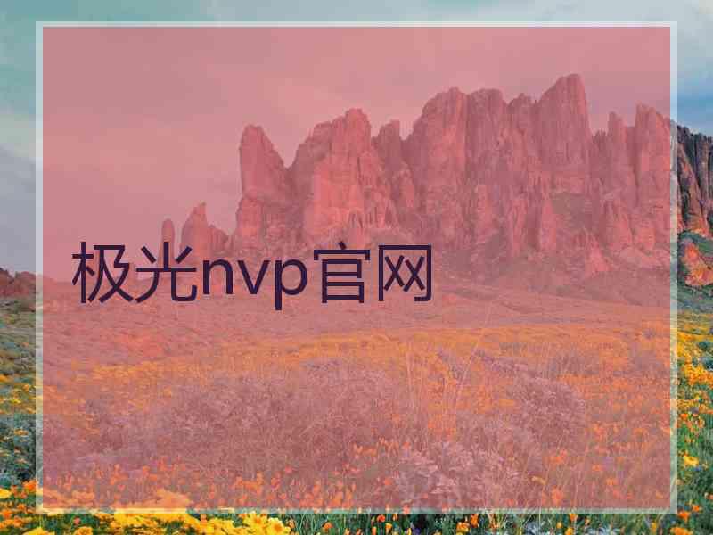 极光nvp官网