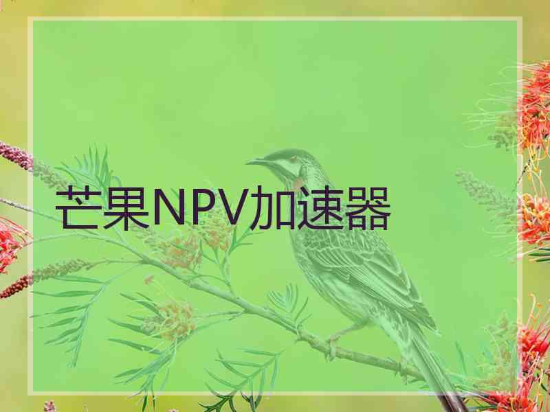 芒果NPV加速器