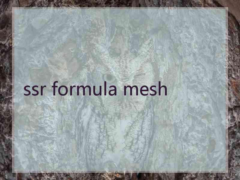 ssr formula mesh