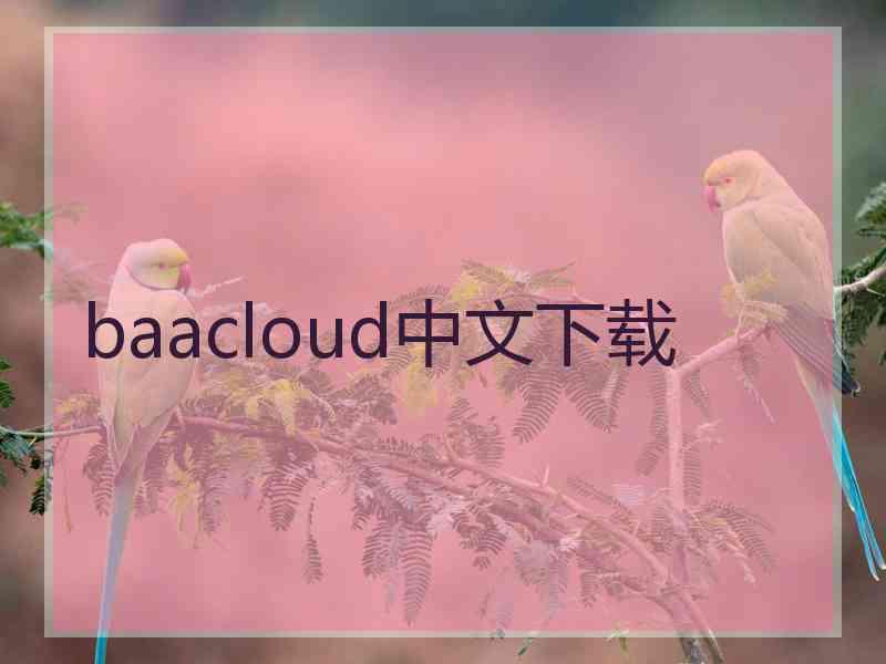 baacloud中文下载