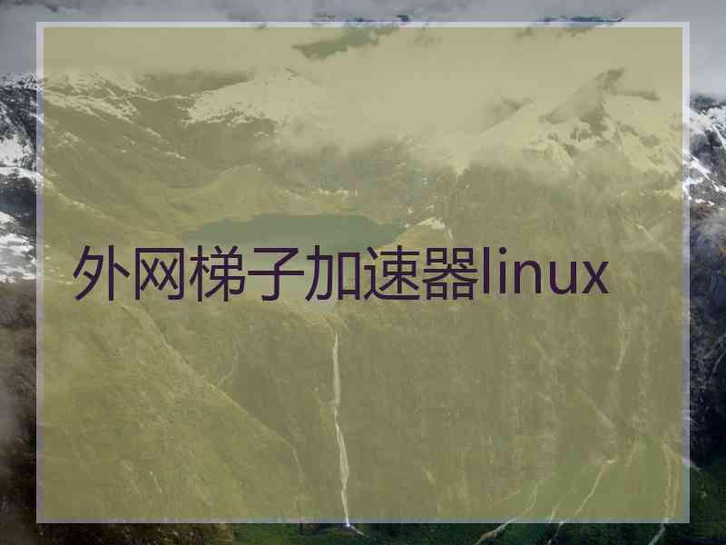 外网梯子加速器linux