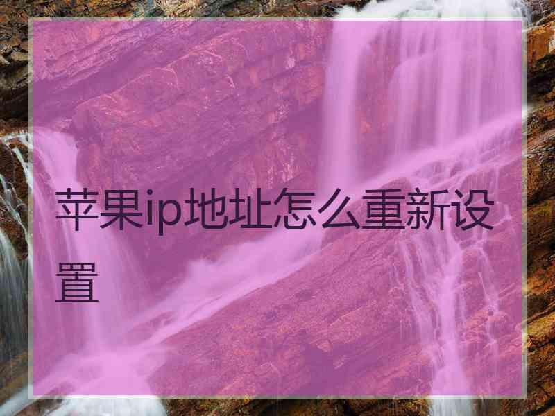 苹果ip地址怎么重新设置