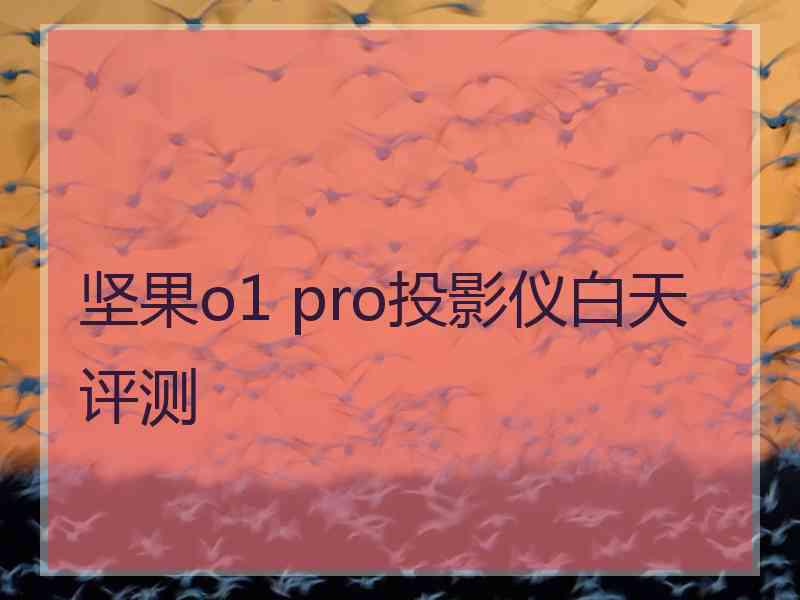 坚果o1 pro投影仪白天评测