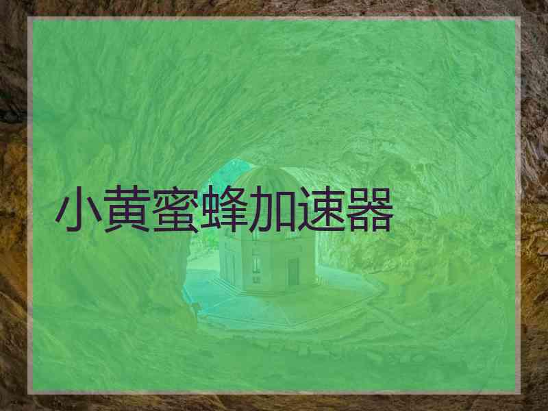 小黄蜜蜂加速器