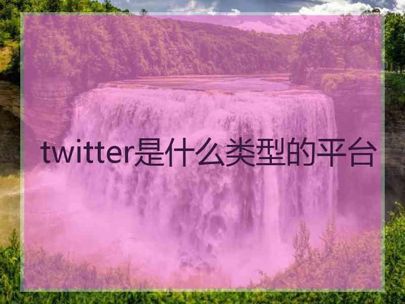 twitter是什么类型的平台