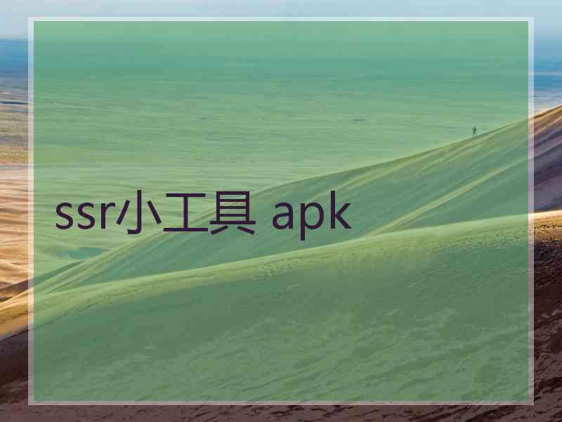 ssr小工具 apk