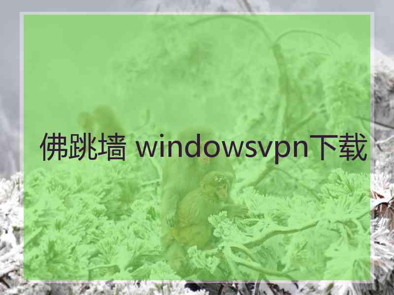 佛跳墙 windowsvpn下载