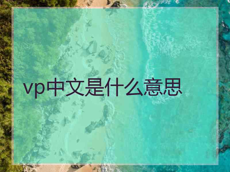 vp中文是什么意思