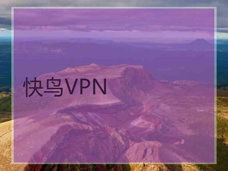 快鸟VPN