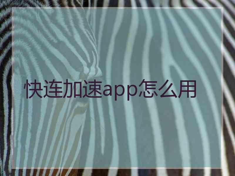 快连加速app怎么用