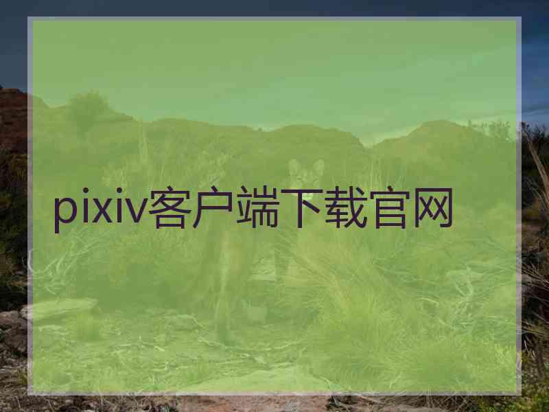 pixiv客户端下载官网