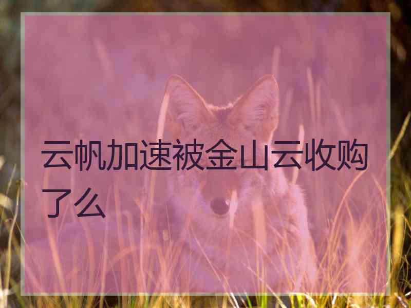 云帆加速被金山云收购了么