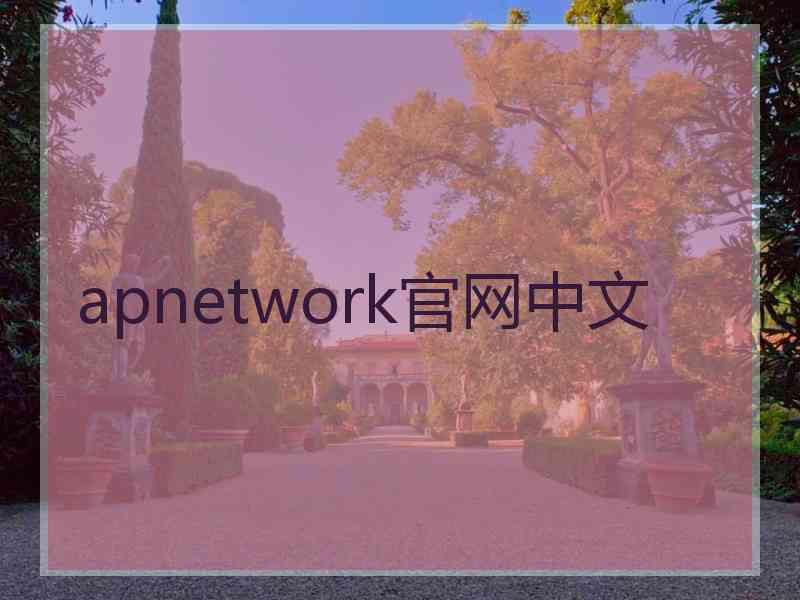 apnetwork官网中文