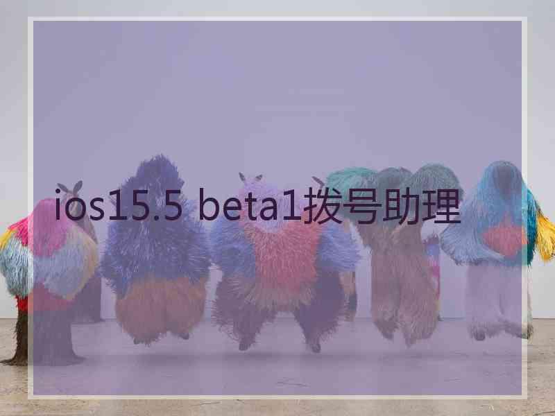 ios15.5 beta1拨号助理