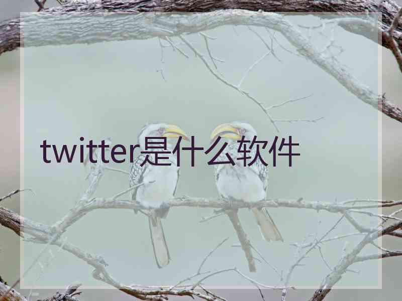 twitter是什么软件