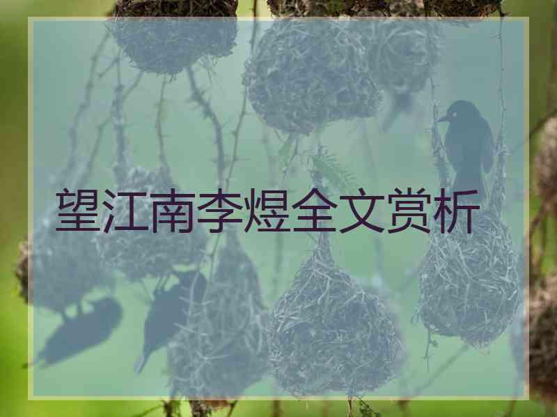 望江南李煜全文赏析